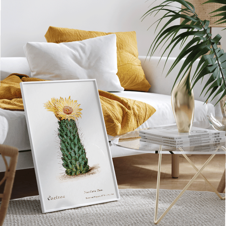 Illustration of Beehive Cactus from Familie Der Cacteen Poster illustration of a blooming cactus titled Beehive cactus from Familie Der Cacteen.