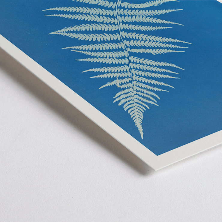 Botanical cyanotype artwork Woodwardia virginica by Anna Atkins Poster of Woodwardia virginica by Anna Atkins displaying a cyanotype of a fern leaf against a blue background.