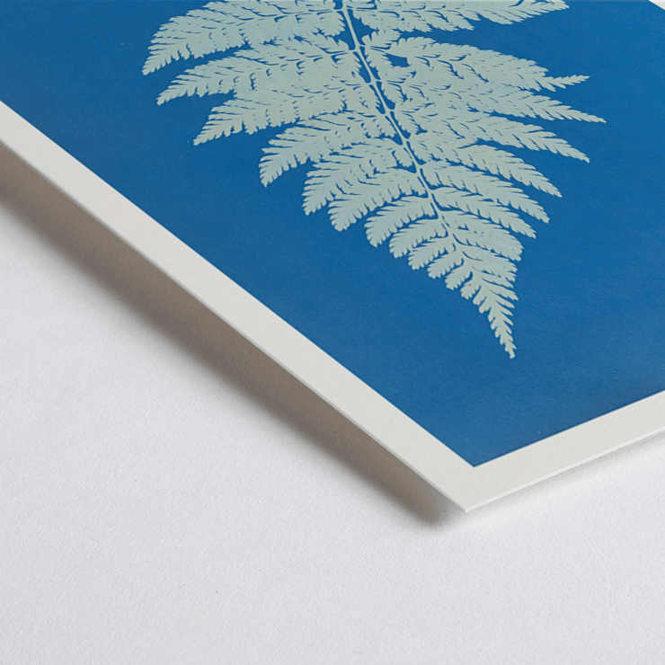 Botanical cyanotype artwork of a fern by Anna Atkins titled Lastrea Spinulosa A framed poster of a botanical illustration titled Lastrea Spinulosa by Anna Atkins showing a detailed fern leaf on a deep blue background.