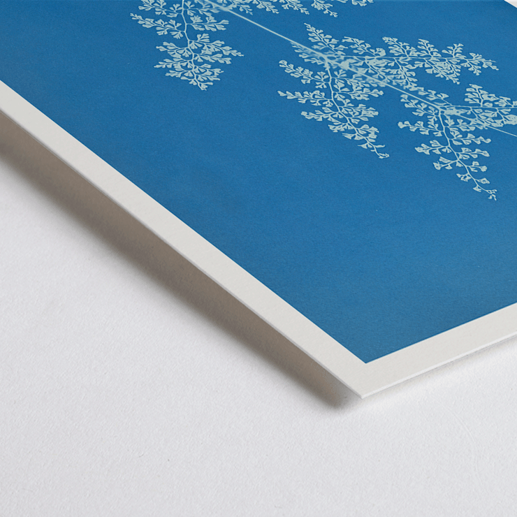 Davallia aeuleata cyanotype artwork by Anna Atkins featuring botanical fern print Poster featuring a cyanotype artwork titled Davallia aeuleata by Anna Atkins showcasing a delicate fern on a blue background.