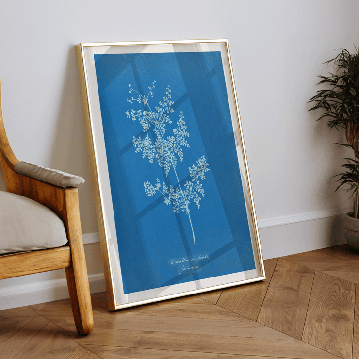 Davallia aeuleata cyanotype artwork by Anna Atkins featuring botanical fern print Poster featuring a cyanotype artwork titled Davallia aeuleata by Anna Atkins showcasing a delicate fern on a blue background.