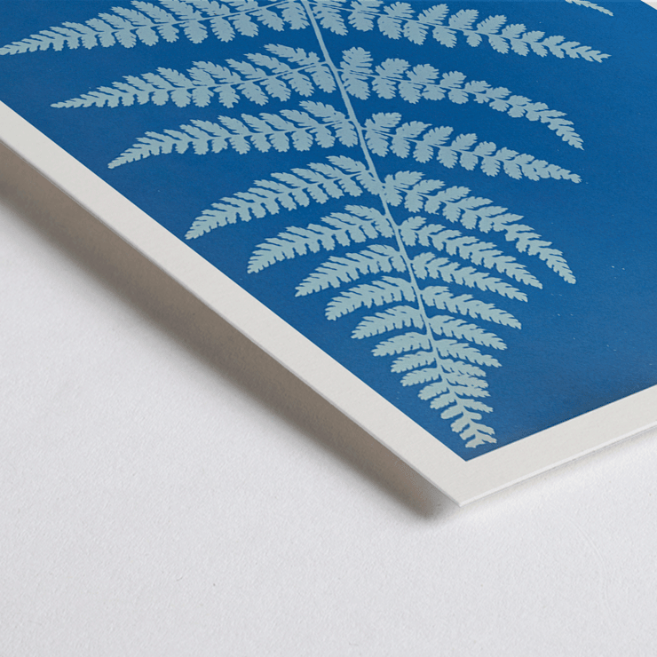 Cyanotype fern artwork Lastrea dilatato by Anna Atkins Poster featuring Lastrea dilatato Cianotipia artwork by Anna Atkins displaying a fern leaf against a blue background