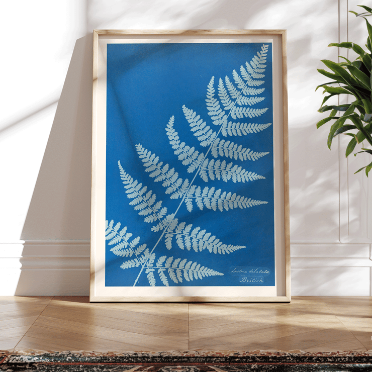 Cyanotype fern artwork Lastrea dilatato by Anna Atkins Poster featuring Lastrea dilatato Cianotipia artwork by Anna Atkins displaying a fern leaf against a blue background