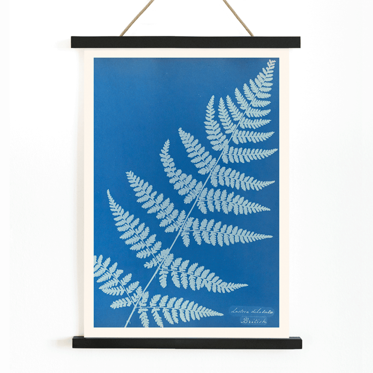 Cyanotype fern artwork Lastrea dilatato by Anna Atkins Poster featuring Lastrea dilatato Cianotipia artwork by Anna Atkins displaying a fern leaf against a blue background