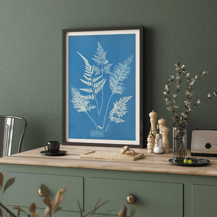 Botanical cyanotype art by Anna Atkins titled Ceylon A botanical print poster titled Ceylon by Cianotipia Anna Atkins featuring delicate white fern leaves against a blue background.