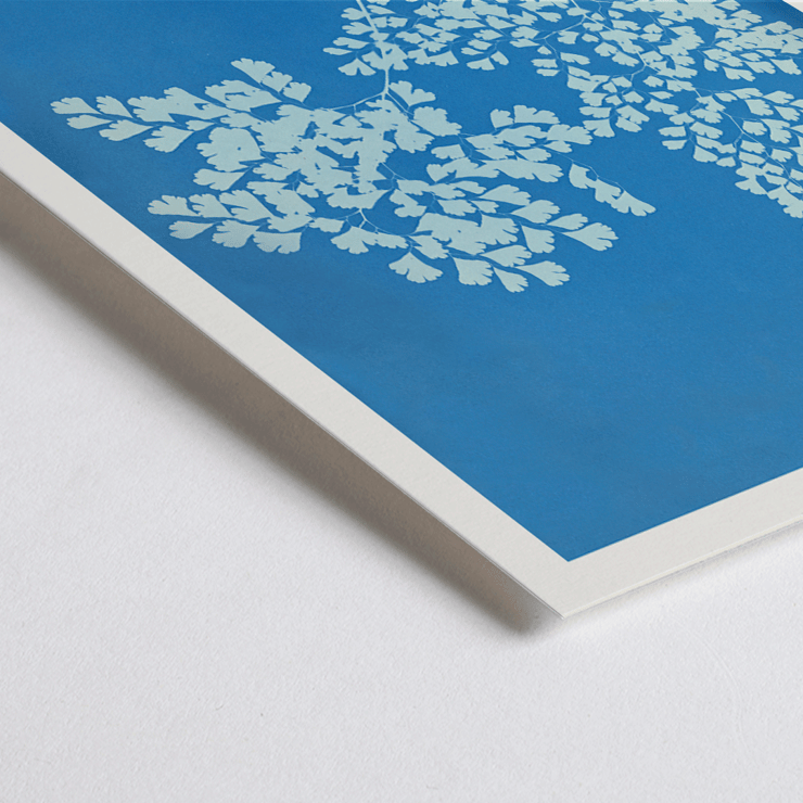 Ilustración botánica en cianotipo Adiantum assimile de Anna Atkins Póster presenta la obra de arte Adiantum assimile de Anna Atkins que muestra delicadas hojas de helecho blanco sobre un fondo azul.