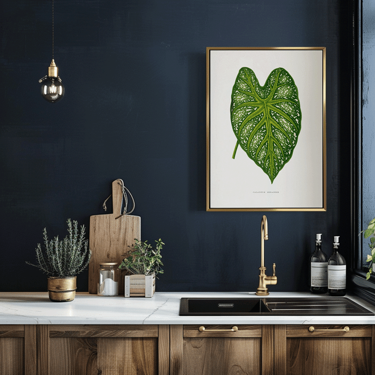 Green Caladium Mirabile detailed botanical illustration by Benjamin Fawsett from Les Plantes à Feuillage Coloré Poster of Green Caladium Mirabile from Les Plantes à Feuillage Coloré by Benjamin Fawsett featuring a detailed botanical illustration.