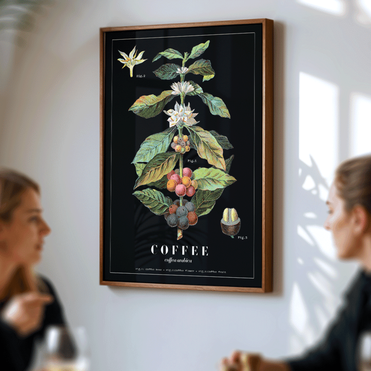 Póster presenta la obra de arte Coffea Arabica de Davis Sacker & Perkins que muestra una ilustración detallada de las etapas de la planta de café.