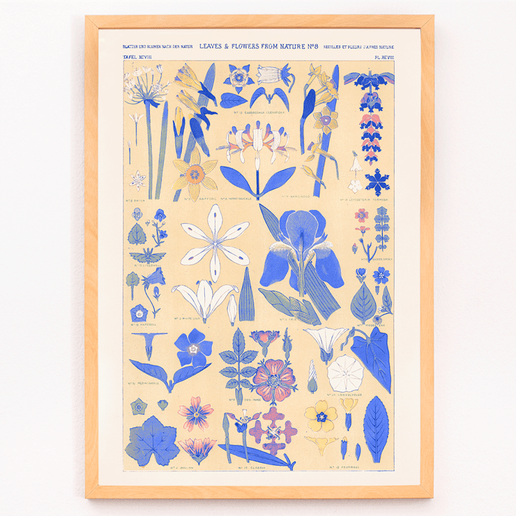 Blue botanical illustration of leaves and flowers by Owen Jones titled Blue set of leaves and flowers Poster titled Blue set of leaves and flowers by Owen Jones featuring botanical illustrations of various blue and yellow flowers and leaves