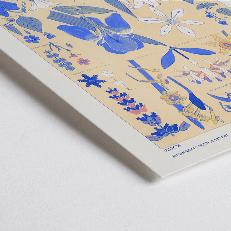 Blue botanical illustration of leaves and flowers by Owen Jones titled Blue set of leaves and flowers Poster titled Blue set of leaves and flowers by Owen Jones featuring botanical illustrations of various blue and yellow flowers and leaves
