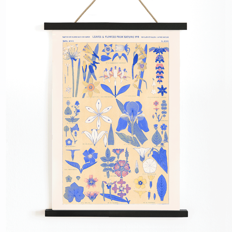 Blue botanical illustration of leaves and flowers by Owen Jones titled Blue set of leaves and flowers Poster titled Blue set of leaves and flowers by Owen Jones featuring botanical illustrations of various blue and yellow flowers and leaves
