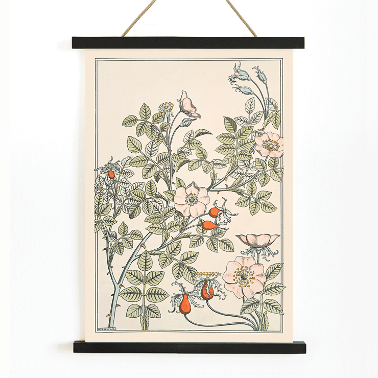Blumenkunst mit Rosen und Blättern von Maurice Pillard Verneuil mit dem Titel Eglantier. Poster mit floralem Design von Maurice Pillard Verneuil mit dem Titel Eglantier mit komplizierten Mustern und Pastellfarben