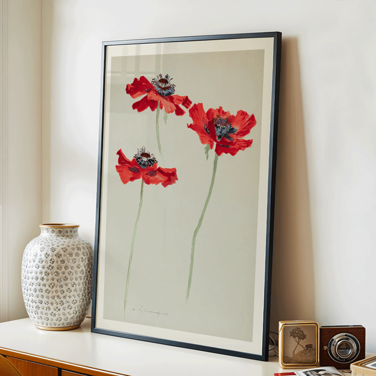 Three Studies of Poppies by Sophia Crownfield artwork featuring vibrant red poppies on delicate stems Poster titled Three Studies of Poppies by Sophia Crownfield featuring three vibrant red poppies on a light background