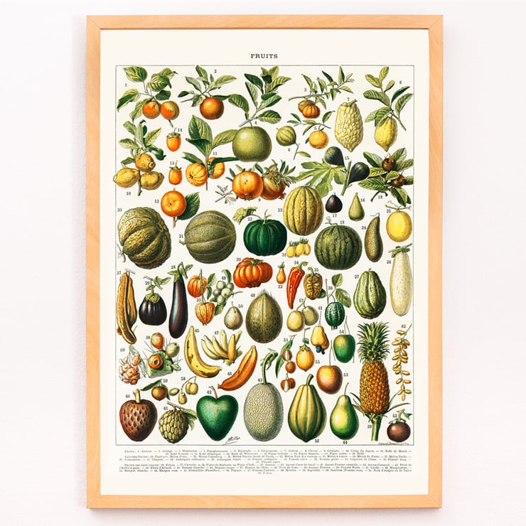 Wide variety of fruits Wide variety of fruits