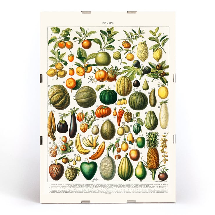Wide variety of fruits Wide variety of fruits