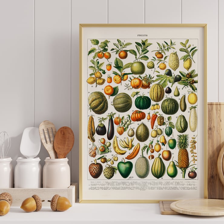 Wide variety of fruits Wide variety of fruits