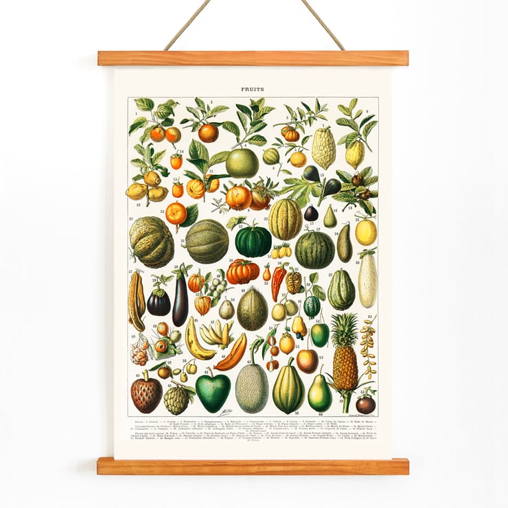 Wide variety of fruits Wide variety of fruits