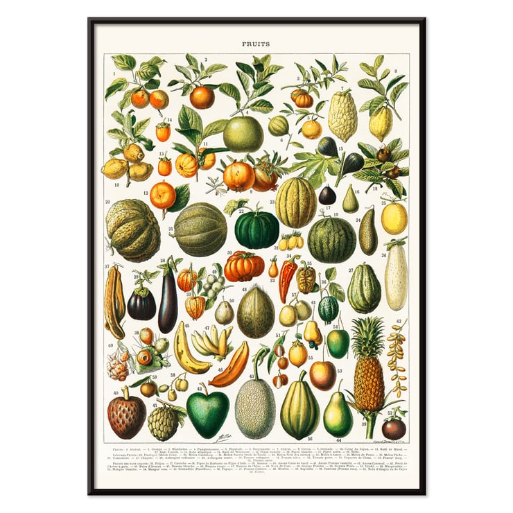 Wide variety of fruits Wide variety of fruits