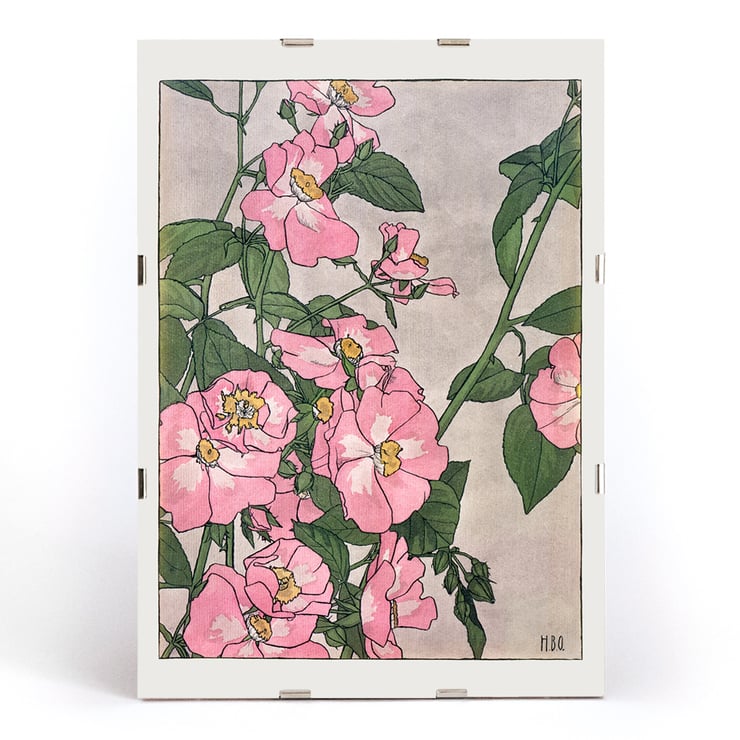 Prairie Rose by Hannah Borger Overbeck depicts vibrant pink flowers with green leaves. Poster of pink and white prairie roses with green leaves by Hannah Borger Overbeck titled Prairie Rose.
