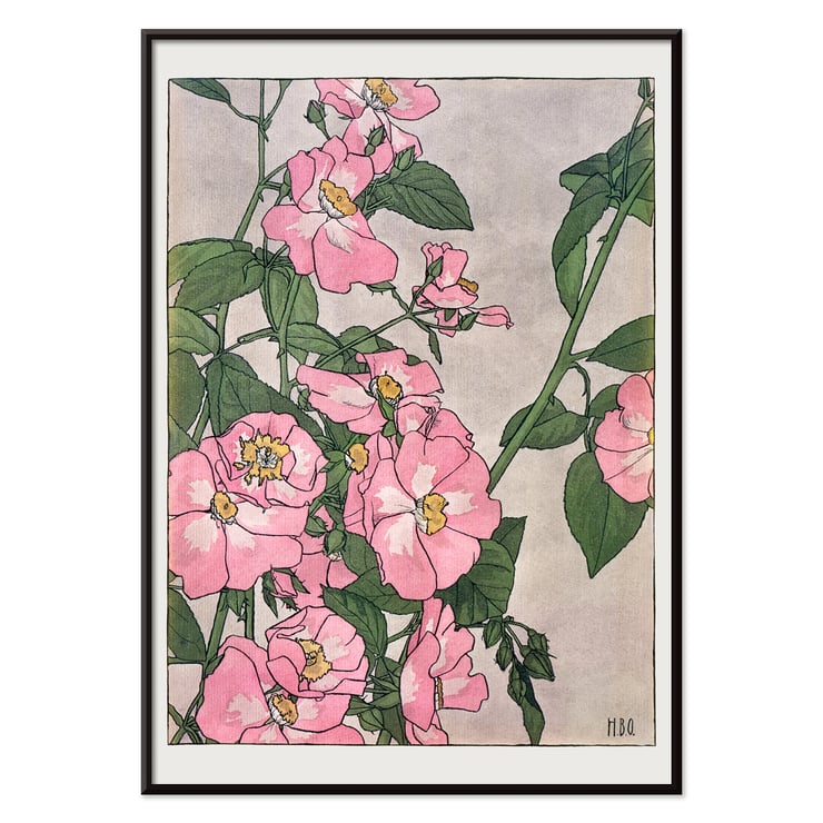Prairie Rose by Hannah Borger Overbeck depicts vibrant pink flowers with green leaves. Poster of pink and white prairie roses with green leaves by Hannah Borger Overbeck titled Prairie Rose.