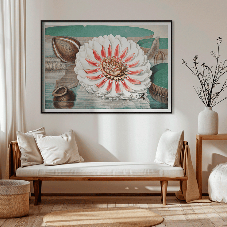 The Victoria Regia or the Great Water Lily of America by William Sharp depicting a vibrant water lily painting. Poster featuring The Victoria Regia or the Great Water Lily of America by William Sharp with a large detailed flower on water.