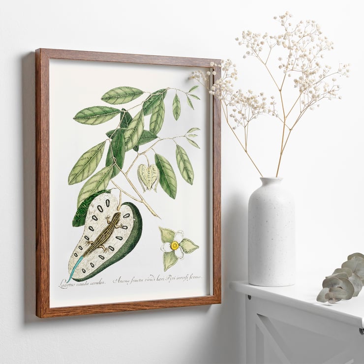 Illustration of Blue Tail Lizard by Mark Catesby from The Natural History of Carolina Florida and the Bahama Islands Poster of a Blue Tail Lizard on foliage from The Natural History of Carolina Florida and the Bahama Islands by Mark Catesby.