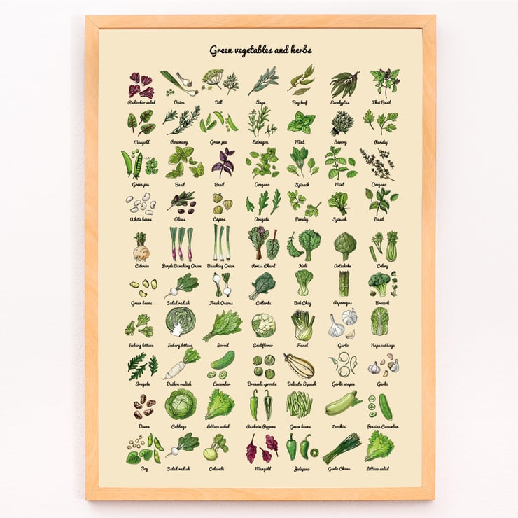 Illustrated poster of green vegetables and herbs by artist Green Vegetables and herbs poster A poster displaying various illustrated green vegetables and herbs titled Green Vegetables and Herbs.