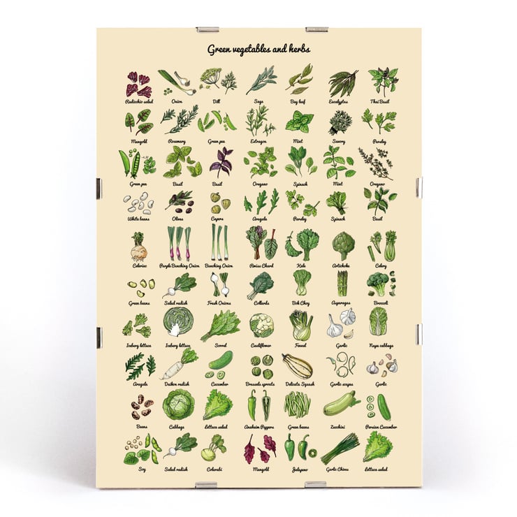 Illustrated poster of green vegetables and herbs by artist Green Vegetables and herbs poster A poster displaying various illustrated green vegetables and herbs titled Green Vegetables and Herbs.