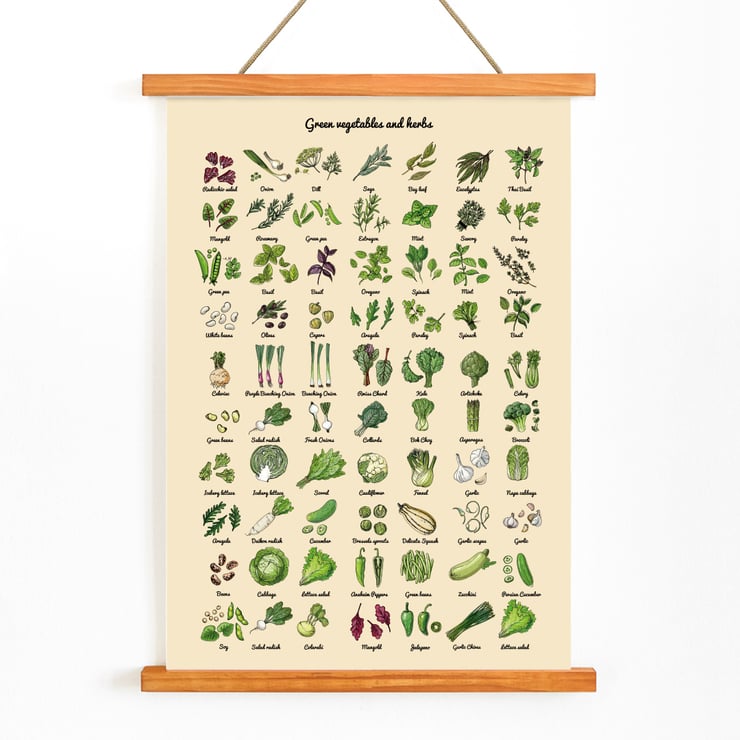 Illustrated poster of green vegetables and herbs by artist Green Vegetables and herbs poster A poster displaying various illustrated green vegetables and herbs titled Green Vegetables and Herbs.