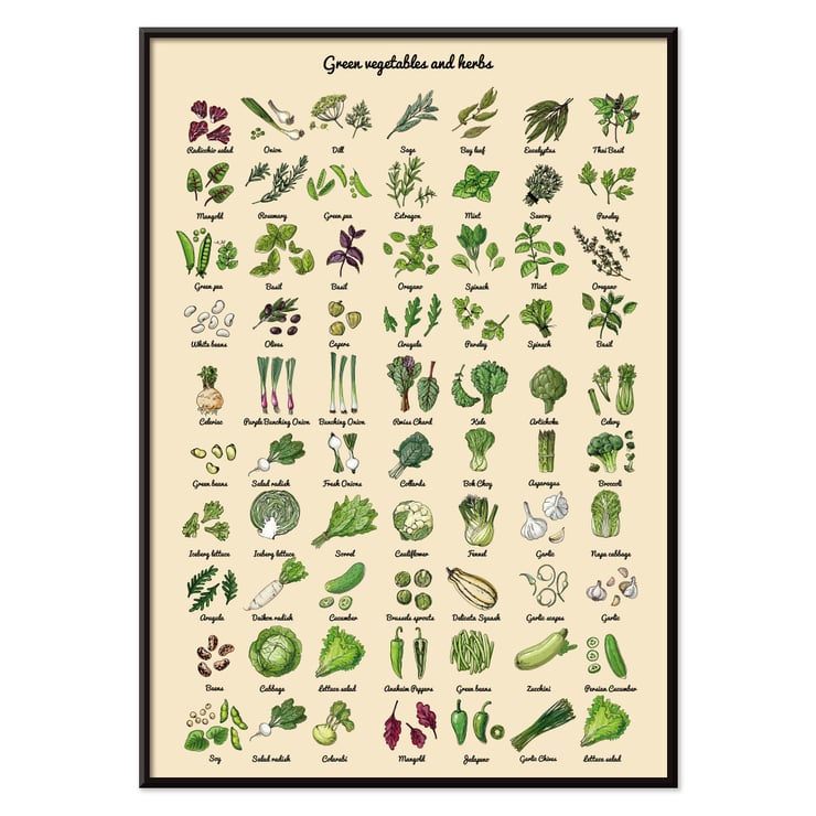 Illustrated poster of green vegetables and herbs by artist Green Vegetables and herbs poster A poster displaying various illustrated green vegetables and herbs titled Green Vegetables and Herbs.