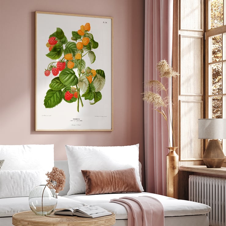 Raspberry chromolithograph plates by Abraham Jacobus Wendel botanical illustration Poster of raspberry plant with green leaves and red and yellow fruits by Abraham Jacobus Wendel titled Raspberry chromolithograph plates.