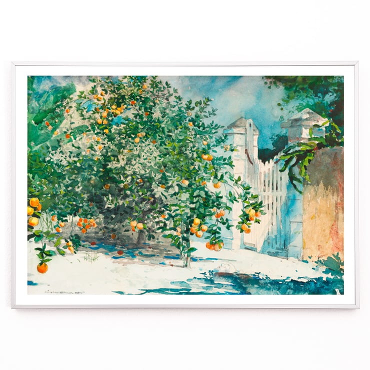 Orange Trees And Gate Orange Trees And Gate