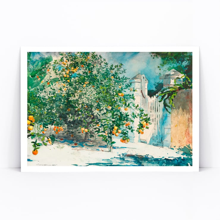 Orange Trees And Gate Orange Trees And Gate