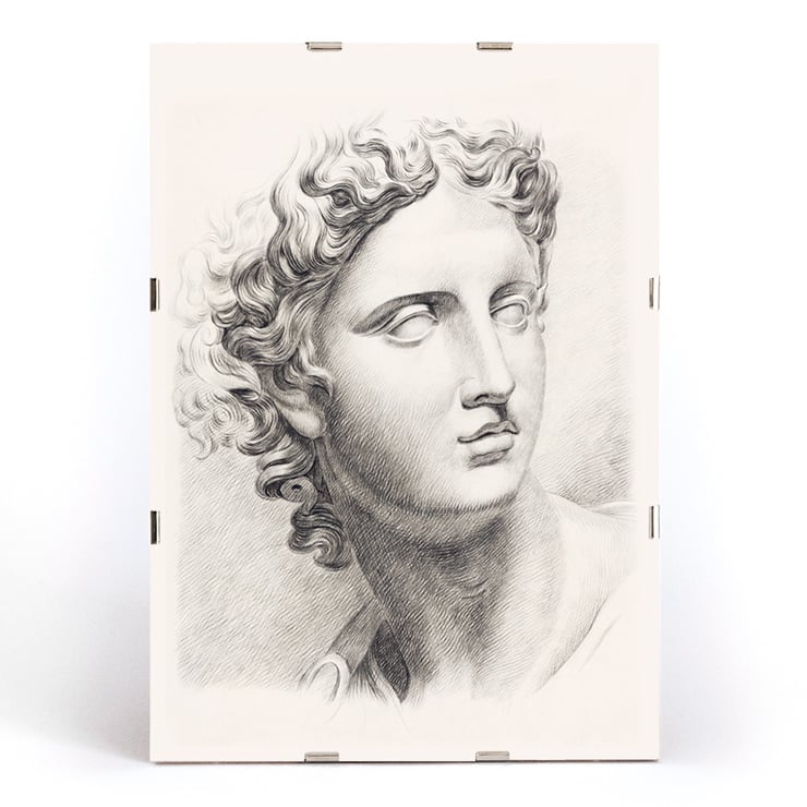 Antique statue head Antique statue head