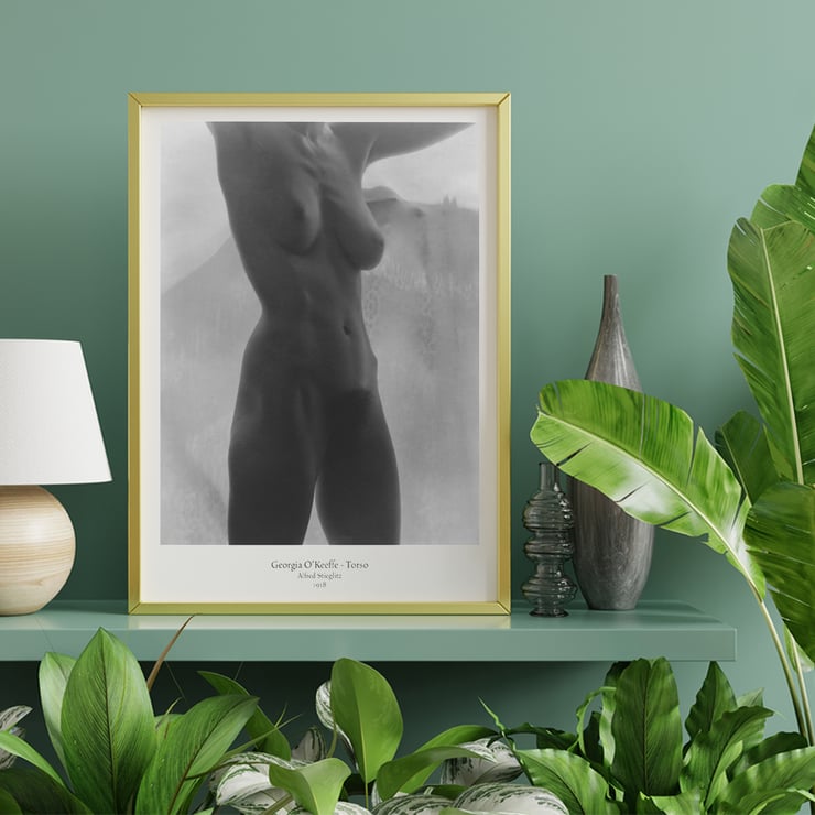 Georgia OKeeffe - Torso Georgia OKeeffe - Torso