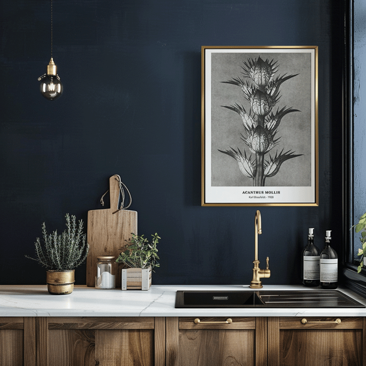 Photographic artwork by Karl Blossfeldt featuring Acanthus mollis bear's breeches. Poster featuring Acanthus mollis bear's breeches by Karl Blossfeldt showing detailed black and white botanical photograph