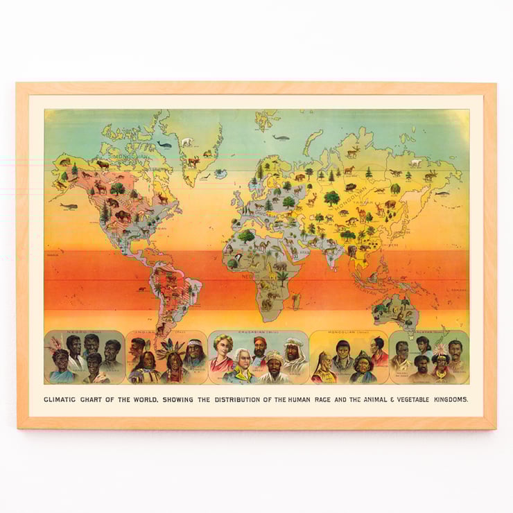 Climatic Chart of the World by Levi Walter Yaggy illustrating human race and animal-vegetable distribution. Poster titled Climatic Chart of the World by Levi Walter Yaggy depicting global distribution of humans animals and vegetation.