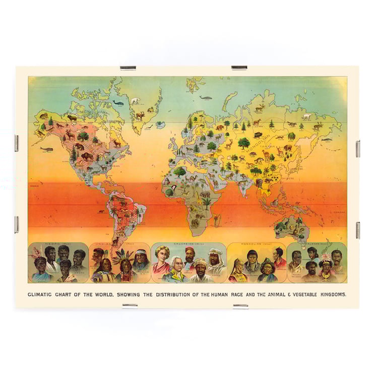 Climatic Chart of the World by Levi Walter Yaggy illustrating human race and animal-vegetable distribution. Poster titled Climatic Chart of the World by Levi Walter Yaggy depicting global distribution of humans animals and vegetation.