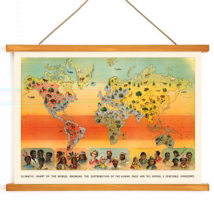 Climatic Chart of the World by Levi Walter Yaggy illustrating human race and animal-vegetable distribution. Poster titled Climatic Chart of the World by Levi Walter Yaggy depicting global distribution of humans animals and vegetation.
