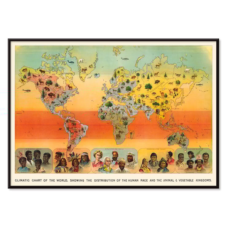 Climatic Chart of the World by Levi Walter Yaggy illustrating human race and animal-vegetable distribution. Poster titled Climatic Chart of the World by Levi Walter Yaggy depicting global distribution of humans animals and vegetation.