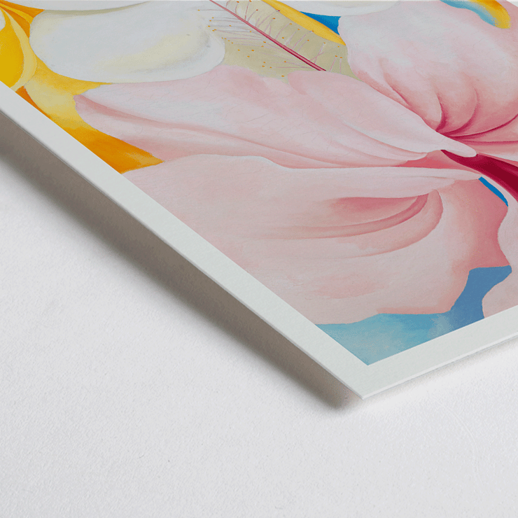 Hibiscus with Plumeria by Georgia O'Keeffe features large vibrant flowers in a colorful composition. Poster of Hibiscus with Plumeria by Georgia O’Keeffe featuring vibrant pink and white flowers with a colorful background
