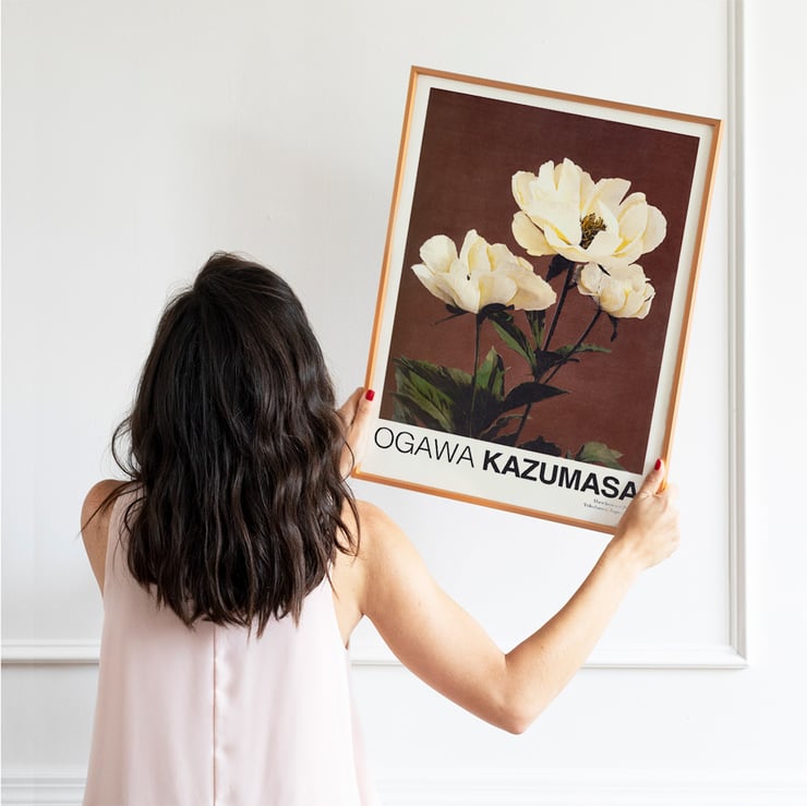 Hærdaceous Peony Hærdaceous Peony
