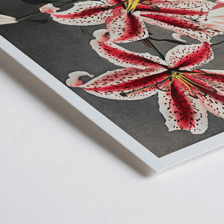 Lily flowers hand-colored collotype by Kazumasa Ogawa from Some Japanese Flowers Poster featuring a hand-colored collotype of lilies from Some Japanese Flowers by Kazumasa Ogawa.