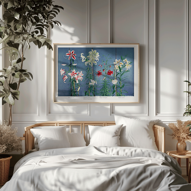 Lily hand-colored collotype from Some Japanese Flowers by Kazumasa Ogawa featuring colorful lilies on a blue background Poster of vibrant lilies in various colors by Kazumasa Ogawa from Some Japanese Flowers.