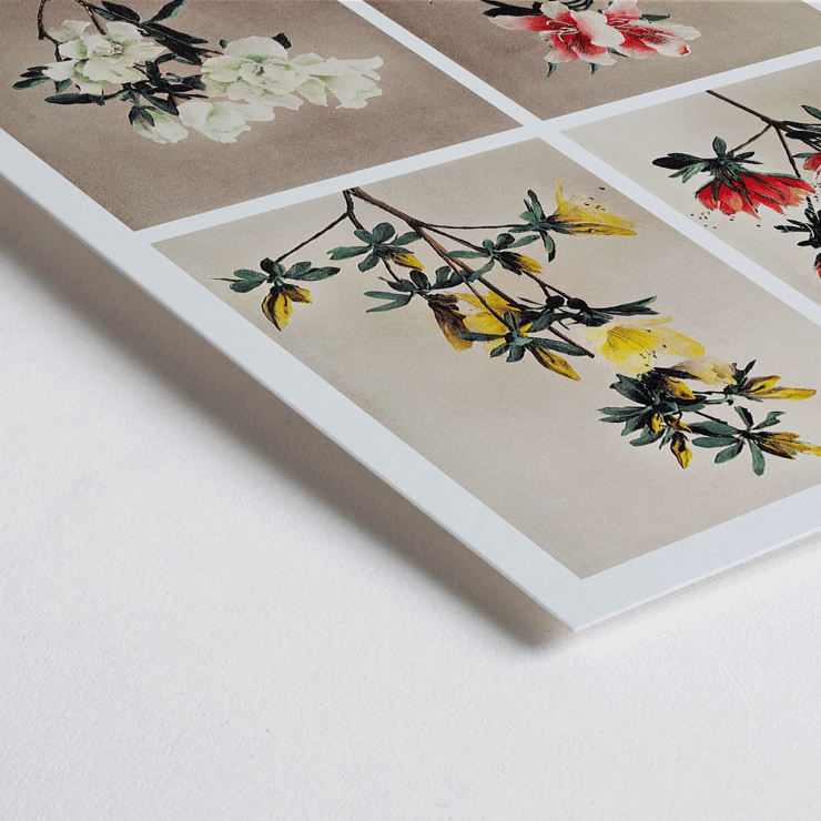 Group of Azaleas by Kazumasa Ogawa features hand-colored collotype of vibrant azalea flowers. Poster featuring various azalea flowers from Group of Azaleas by Kazumasa Ogawa in a hand-colored collotype style artwork.