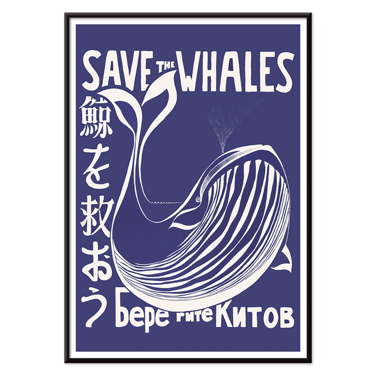 Sauvez les baleines Sauvez les baleines