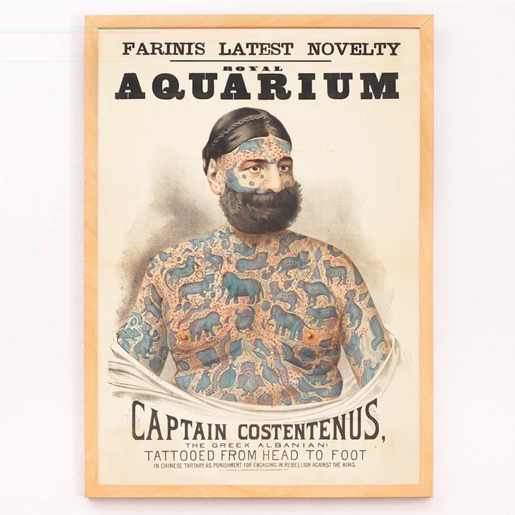 Hauptmann Costentenus