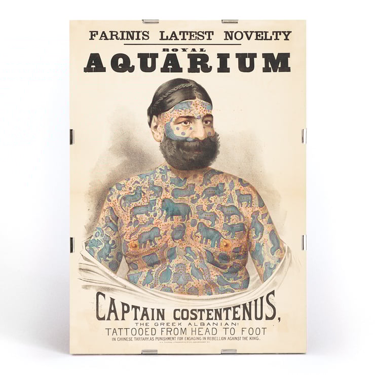 Hauptmann Costentenus