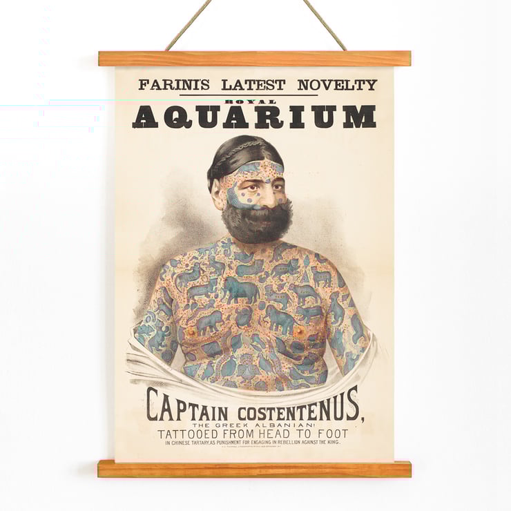 Hauptmann Costentenus