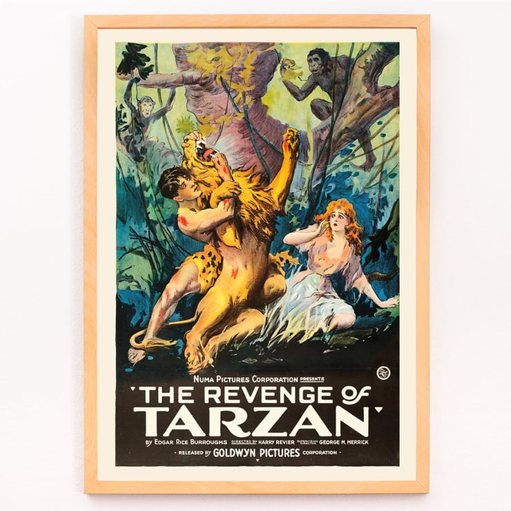 Poster art by Harry Revier featuring a dramatic jungle scene from The Revenge of Tarzan. Poster for The Revenge of Tarzan featuring jungle scene with Tarzan wrestling a lion and a woman watching with fright.